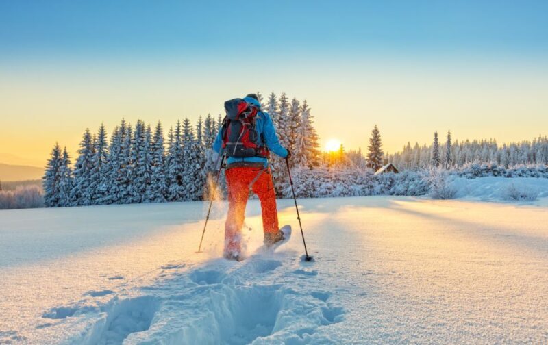 From Prague: Guided Snowshoe Tour with Mountain Views - What is this tour all about?