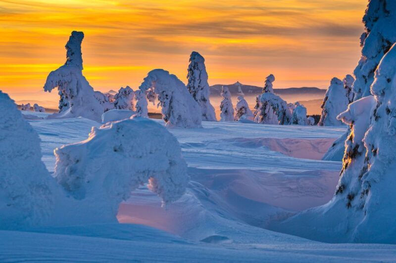 From Prague: Guided Snowshoe Tour with Mountain Views - What the reviews tell us