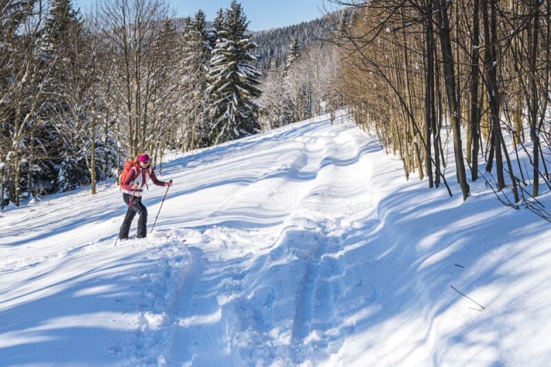 From Prague: Guided Snowshoe Tour with Mountain Views - Is this tour right for you?