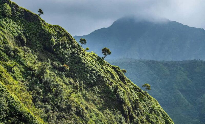 From Princeville: Discover Kauai Helicopter Tour - An In-Depth Look at the Kauai Helicopter Tour