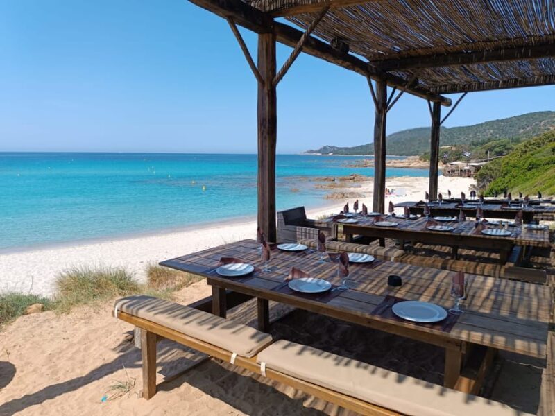 From Propriano, Jetski tour Cala d' Aguillia - 2 h - Who Should Consider This Tour?