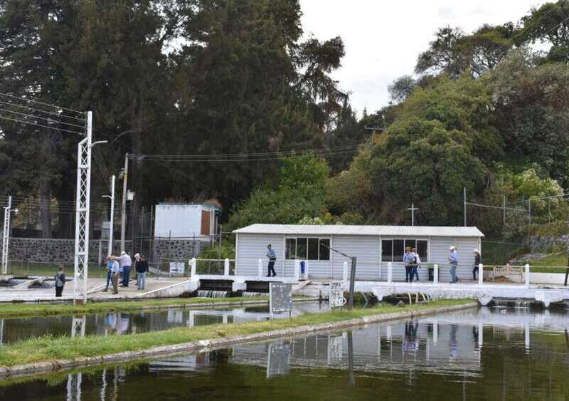 From Puebla: Atlixco & Atlimeyaya Private Tour all included - Visiting a Nursery: A Floral Wonderland