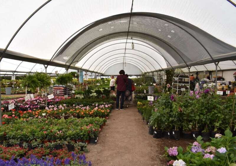 From Puebla: Atlixco & Atlimeyaya Private Tour all included - Scenic Landscapes and Views