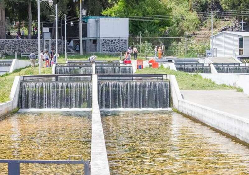 From Puebla: Cholula and Atlixco Private Tour all included - Key Points