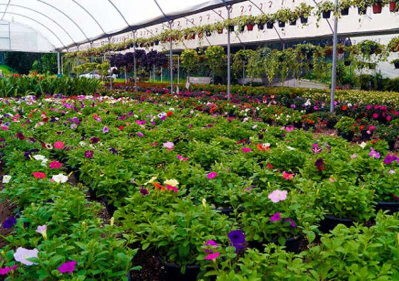 From Puebla: Cholula and Atlixco Private Tour all included - Is the Price Worth It?