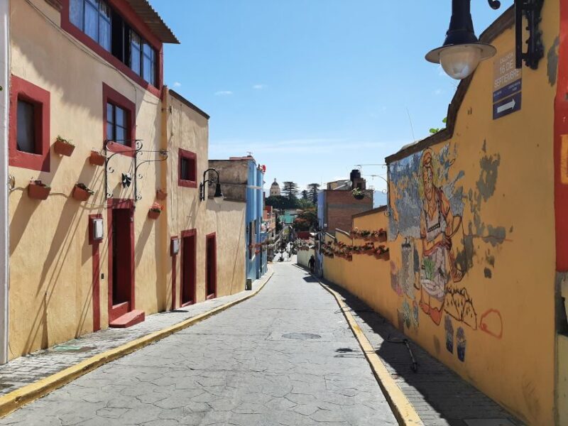 From Puebla: Cholula and Atlixco Puebla´s Magical Towns - Who Will Appreciate This Tour?