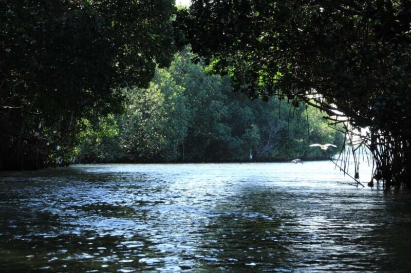 From Puerto Escondido: Day Trip to Chacahua National Park - From Puerto Escondido: Day Trip to Chacahua National Park