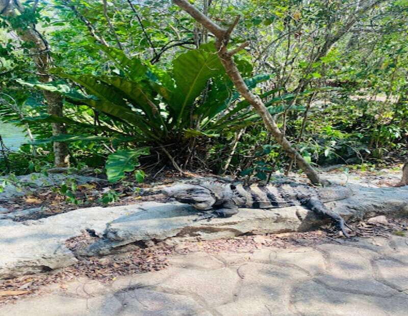 From Puerto Morelos: Lagoon k'an luum - The Sum Up: Is It Worth It?