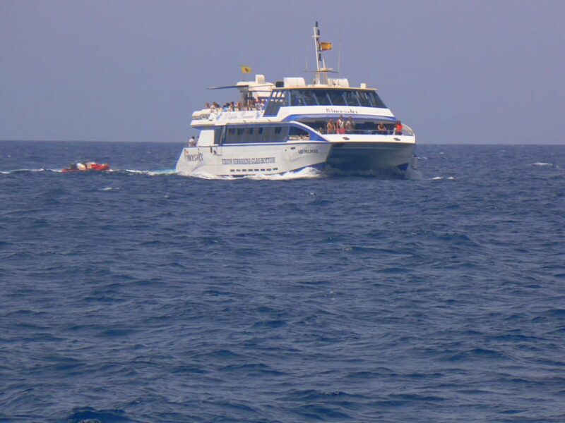 From Puerto Rico: Boat trip along the coast w/ Food & Drinks - From Puerto Rico: Boat trip along the coast w/ Food & Drinks — A Practical Look