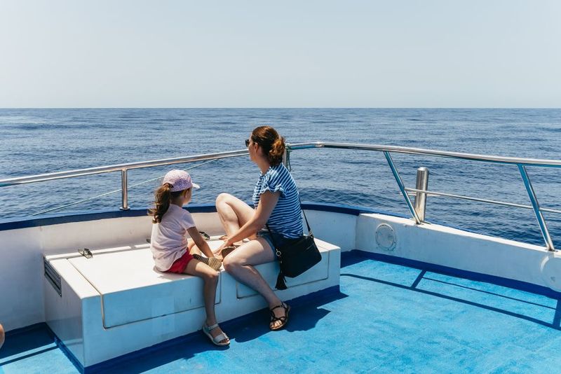 From Puerto Rico de Gran Canaria: Dolphin Watching Cruise - The Guide Factor: Why This Experience Feels Better Than a Generic Boat Trip