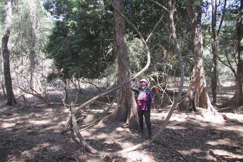 From Puerto Vallarta: 2-Hour Guided Sierra Vallejo Hike - Learning about Local Flora and Fauna