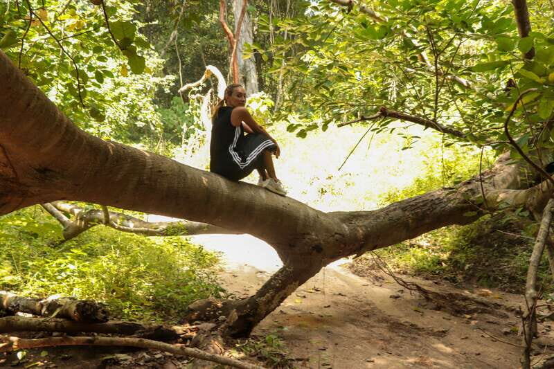 From Puerto Vallarta: 2-Hour Guided Sierra Vallejo Hike - Final Wrap-up