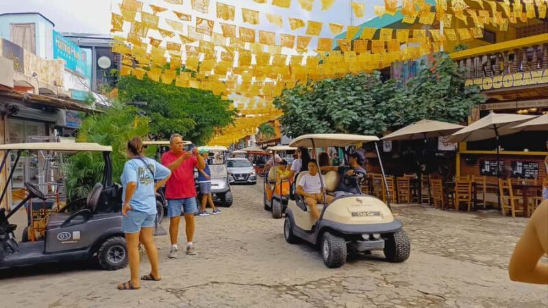 From Puerto Vallarta: San Pancho and Sayulita Cultural Tour - Key Points