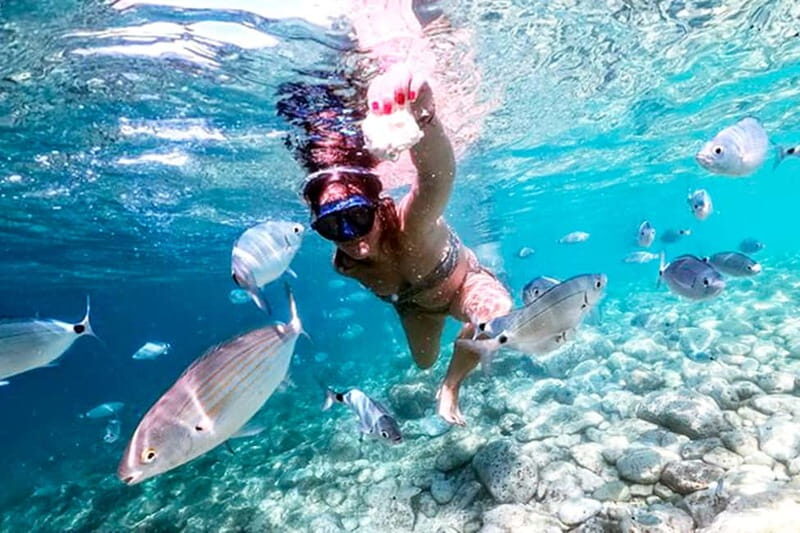 From Pula: Island Stop and National Park Day Cruise - Who Is This Tour Best For?