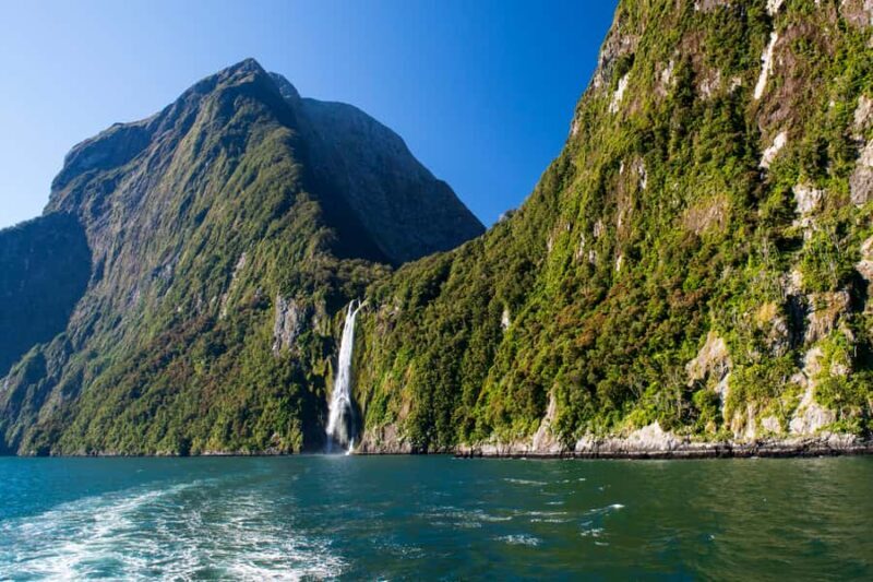 From Queenstown Milford Sound Cruise & Glass-Roof Coach Tour - FAQ