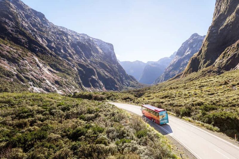 From Queenstown: Milford Sound Day Trip on Premium Coach - Overall Value and Tips