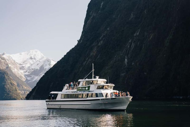 From Queenstown: Milford Sound Full-Day Trip by Plane & Boat - What “Window Seats Guaranteed” Actually Means for You