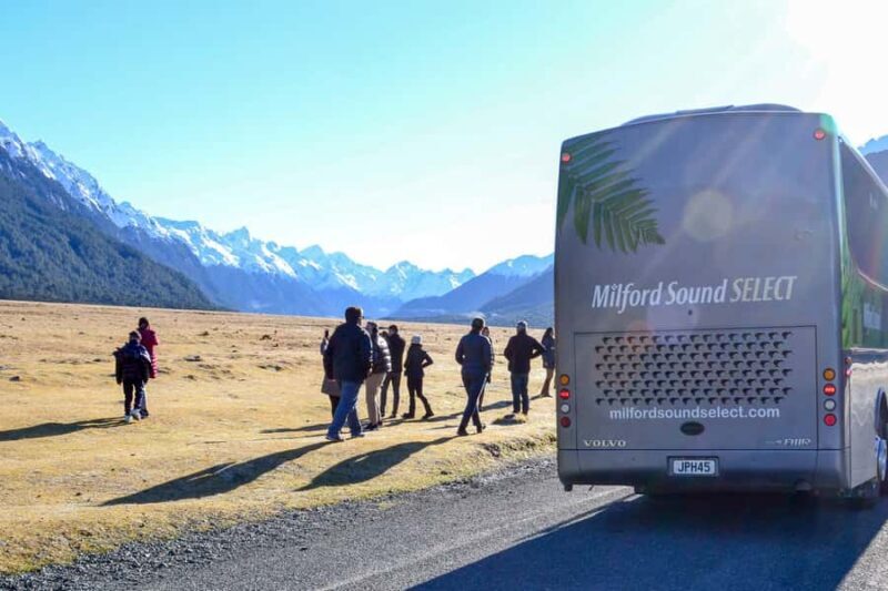From Queenstown: Milford Sound Premium Day Tour and Cruise - The Return Journey and Additional Experiences