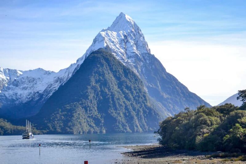 From Queenstown: Milford Sound Premium Day Tour and Cruise - The Value of This Tour
