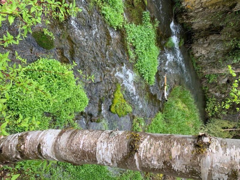 From Rapid City: Private Spearfish Canyon Tour - Who Should Consider This Tour?