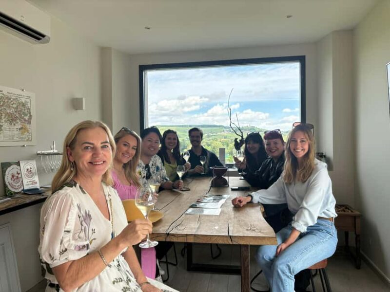 From Reims: Champagne and Family-Run Wineries Tour - Key Points