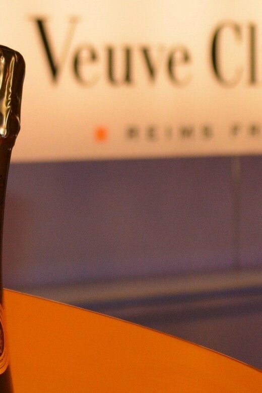 From Reims: Day Trip to Veuve Clicquot Family Grower & Lunch - Practical Tips for Booking and Participation