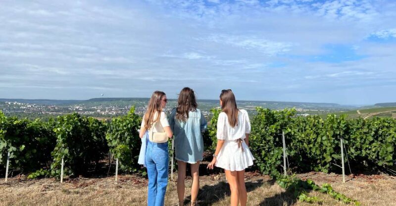 From Reims/Epernay: The Connoisseurs Private Tour 9 tastings - An Overview of What You Can Expect