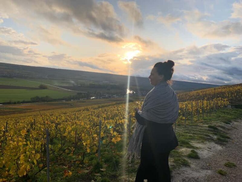 From Reims: Morning Champagne Tour and Tastings - Quality of Tastings and Wineries