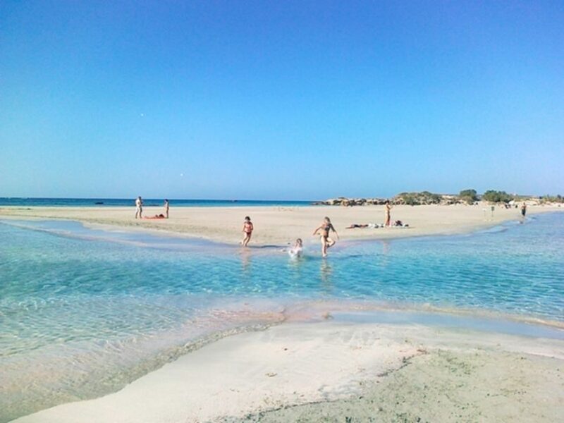 From Rethymno & Chania: Elafonisi Island Day Tour by Bus - What the Reviews Tell Us