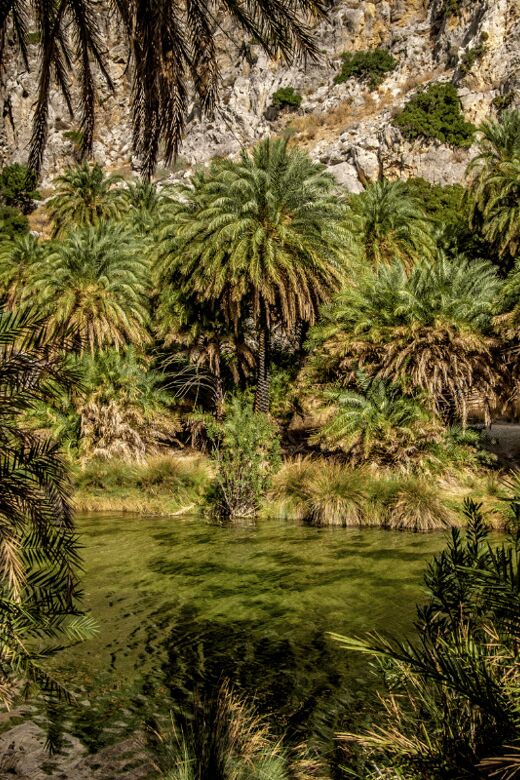 From Rethymno: Exotic Preveli Palms, Damnioni & Plakia Beach - Authentic Traveler Insights