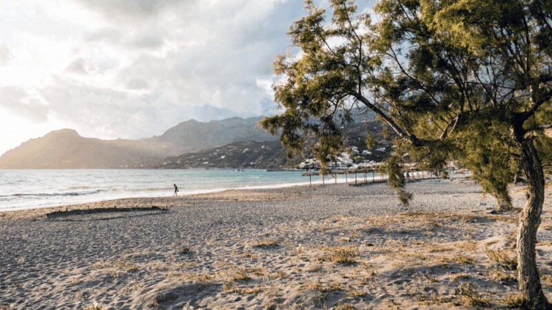 From Rethymno: Exotic Preveli Palms, Damnioni & Plakia Beach - Who Is This Tour Best For?