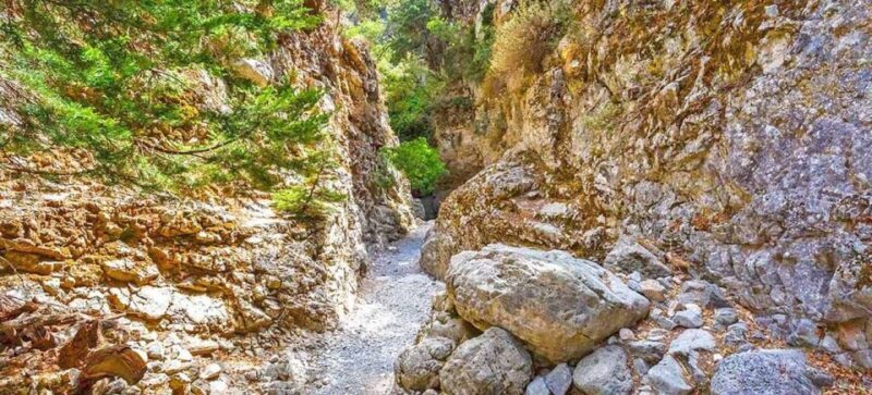 From Rethymno: Imbros Gorge & Libyan Guided Sea Tour - A Deep Dive into the Tour Experience