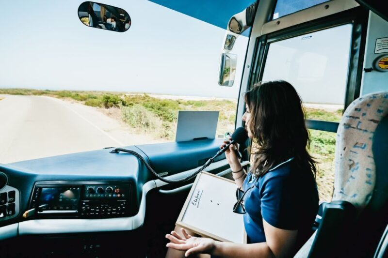 From Rethymno/Kavros: Elafonissi Pink Sand Beach Tour - The Itinerary: What You Can Expect on This Day Trip