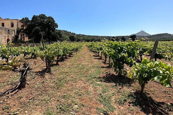 From Rethymno Private Tour: Chania-Holy Trinity-Olive oil factory - Final Thoughts: Who Will Get the Most Out of This Tour?