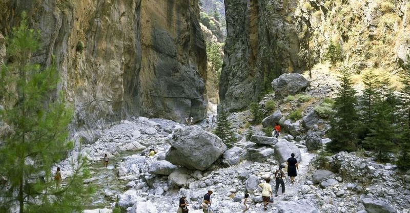 From Rethymno: Samaria Gorge Full-Day Trek, Pickup & Guide - Wildlife and Plant Life: Rare Species Lessons While You Walk