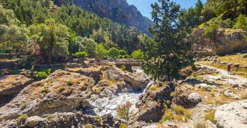From Rethymno: Samaria gorge with Professional Hiking Guide - Real Traveler Feedback: What People Are Saying