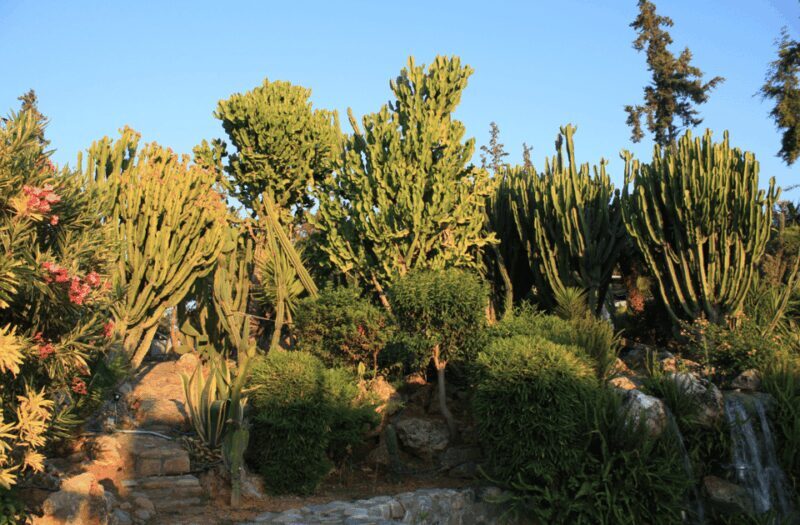 From Rethymno: Waterpark Day with Bus Transfer & Guide - Is it Worth the Price?