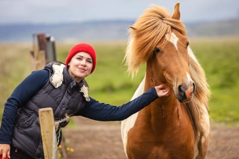 From Reykjavík: Best of Iceland 6-Day Stopover Tour - Key Points