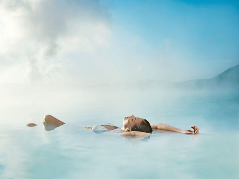 From Reykjavik: Blue Lagoon and Northern Lights Tour - What the Tour Entails