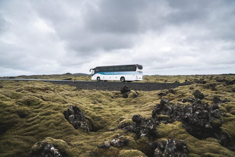 From Reykjavík: Blue Lagoon Premium Admission with Transfer - Key Points