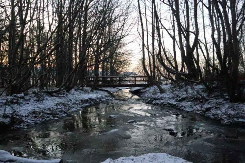 From Reykjavik: Explore the Waterfalls of the South Coast - In The Sum Up