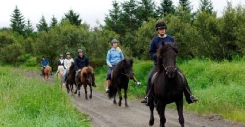From Reykjavik: Full-Day Horse Riding & Golden Circle Tour - From Reykjavik: Full-Day Horse Riding & Golden Circle Tour — A Detailed Look