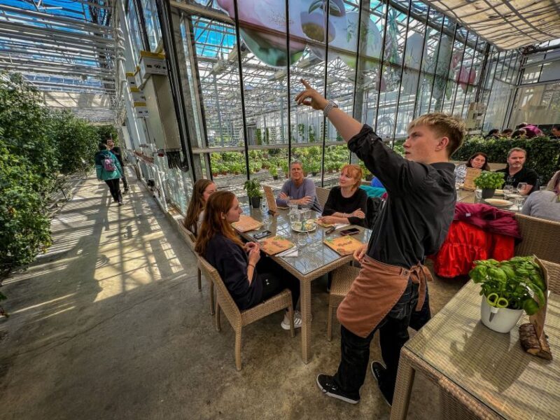 From Reykjavik: Golden Circle, Friðheimar, & Sky Lagoon Tour - Key Points