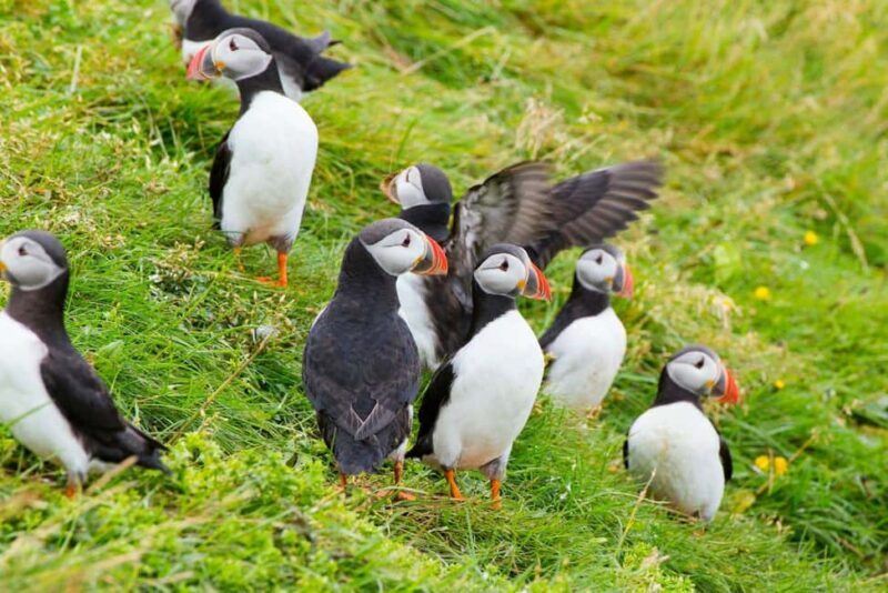 From Reykjavík: Iceland Express Circle - 6-Day Self-Drive - Key Points