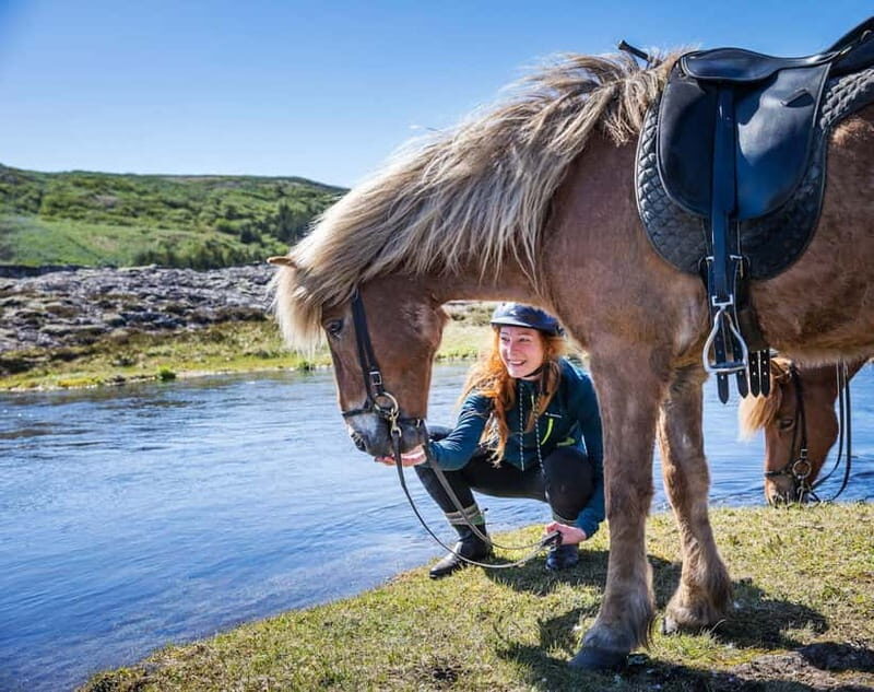 From Reykjavík: Icelandic Horse Riding Tour in Lava Fields - The Real-World Experiences from Reviews