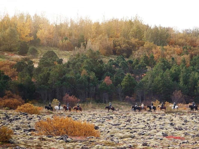 From Reykjavík: Icelandic Horse Riding Tour in Lava Fields - FAQ
