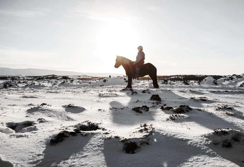 Icelandic Horse Riding Tour & Pickup Option from Reykjavik - Dress for Iceland: the cold truth about hands and feet