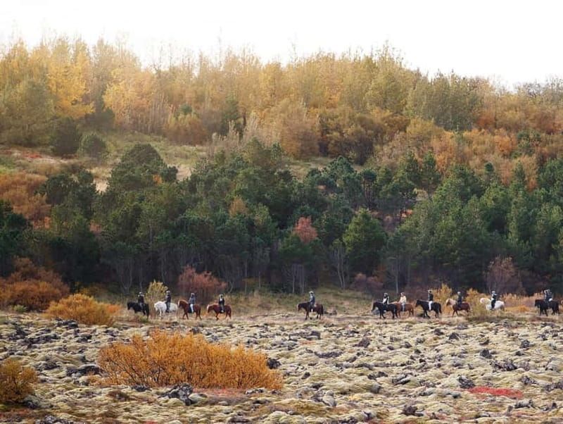 Icelandic Horse Riding Tour & Pickup Option from Reykjavik - Mounting and luggage rules: the small constraints that matter