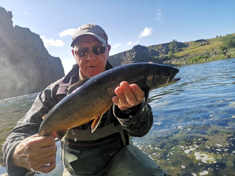 From Reykjavik: Lake and River Fishing Tour - Key Points