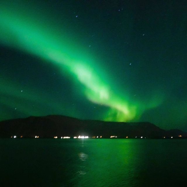 From Reykjavik: Northern Lights Boat Cruise - Who Should Consider This Tour?